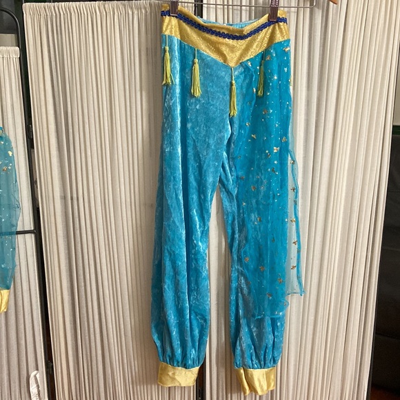 Princess Jasmine Halloween Costume - Picture 3 of 3